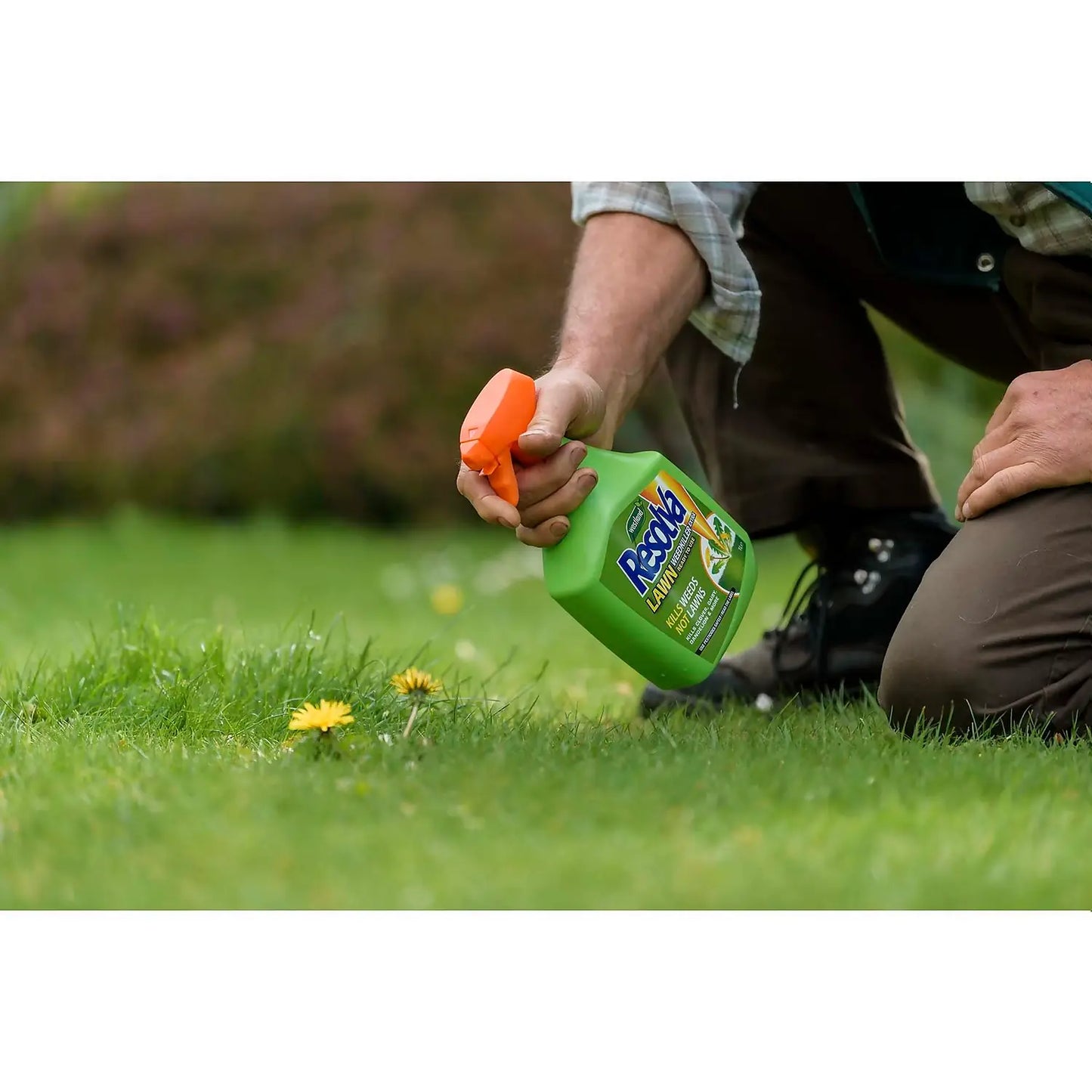 Resolva Lawn Weedkiller - 1 litre